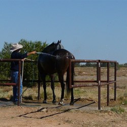 It was special to be so close to the horses