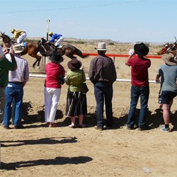 And the winner of the Betoota Cup is  .........