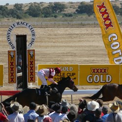 The Birdsville Cup - And the winner is .........