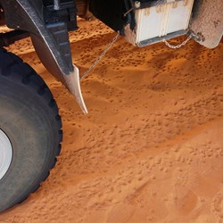 The mice were very active during the night