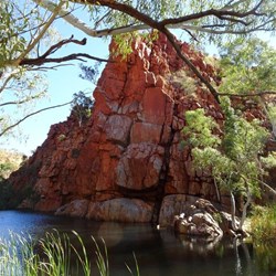 Goanna Pool - Desert Queen Baths