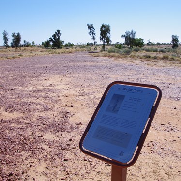 Acacia peuce sign north of Birsville