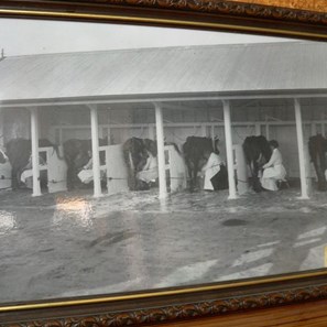 The photo of milkmaids that caught our eye.