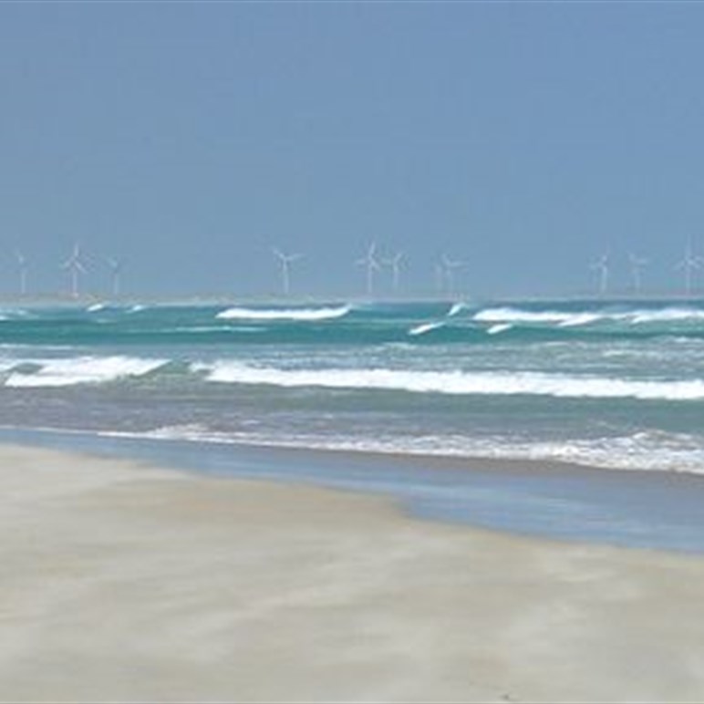 One of several big windfarms along the coast