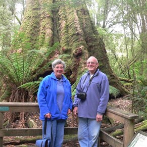 Beside an ancient and majestic tree