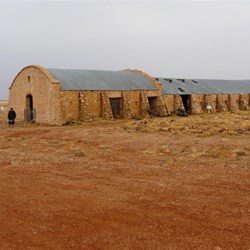 The historic Cordillo Downs Shearing Shed