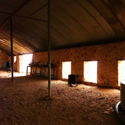 Just imagine 120 shearers hard at work in this shed