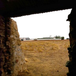 A peek at the homestead