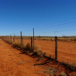 The Dog Fence @ S28.99889 E141.81710
