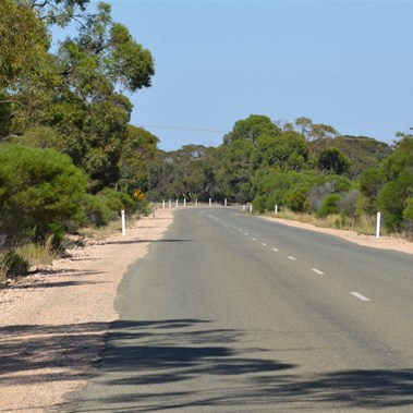 Looking west along the Lochiel Road from the Quandong site