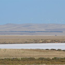 Snowtown Windfarm from the Lochiel Road