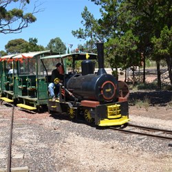 The Tourist Train returns to the station to collect more Tourists