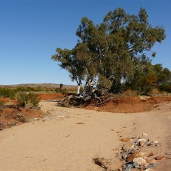 The result of heavy rains