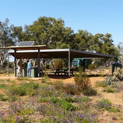 Picnic shed in Homestead Creek campground