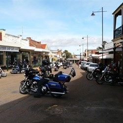 Gulgong comes to life