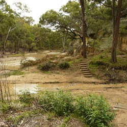 Walking track to The Drip
