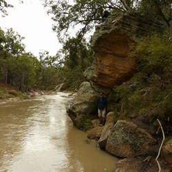 Walking track to The Drip