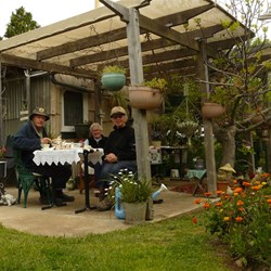 Betty served Devonshire Tea at Rose Cottage