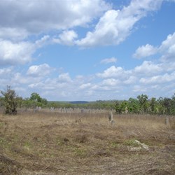 Magnetic Termite Mounds