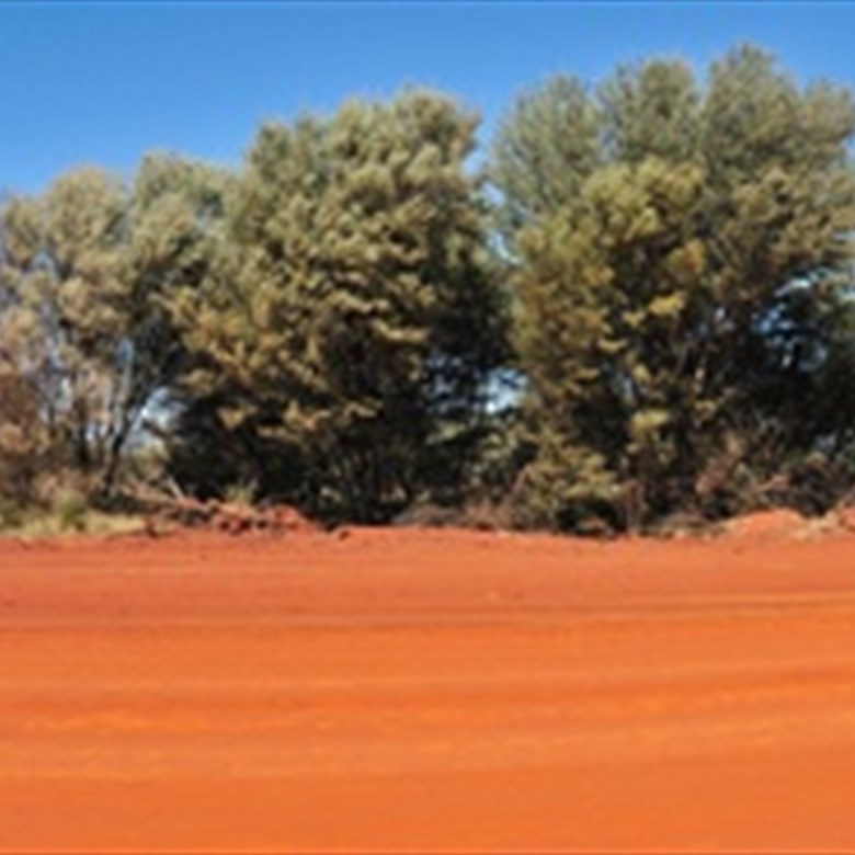 [04/Aug/2011] Red road between Thergomindah and Toompine (6637x640 pixels, 1.2MB)