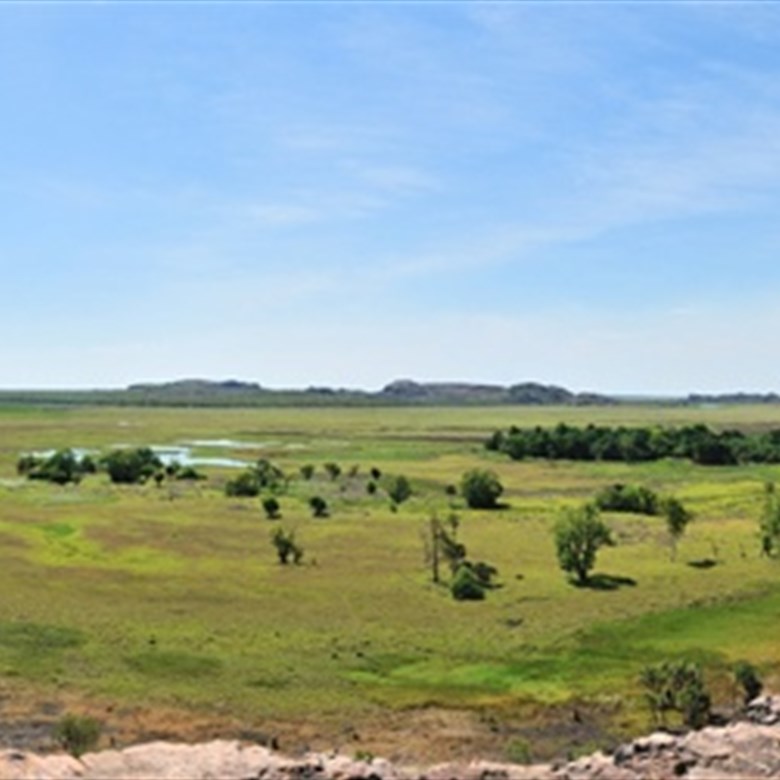  [25/Aug/2011] Nadab Lookout, Ubirr, Kakado NP (4897x640. pixels, 800kb).