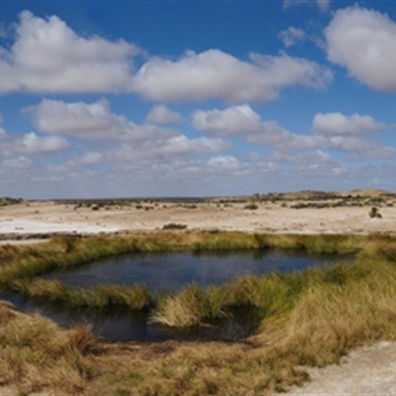 [10/Aug/2011] Blanche Cup Mound Spring (4875x640 pixels, 810kb)