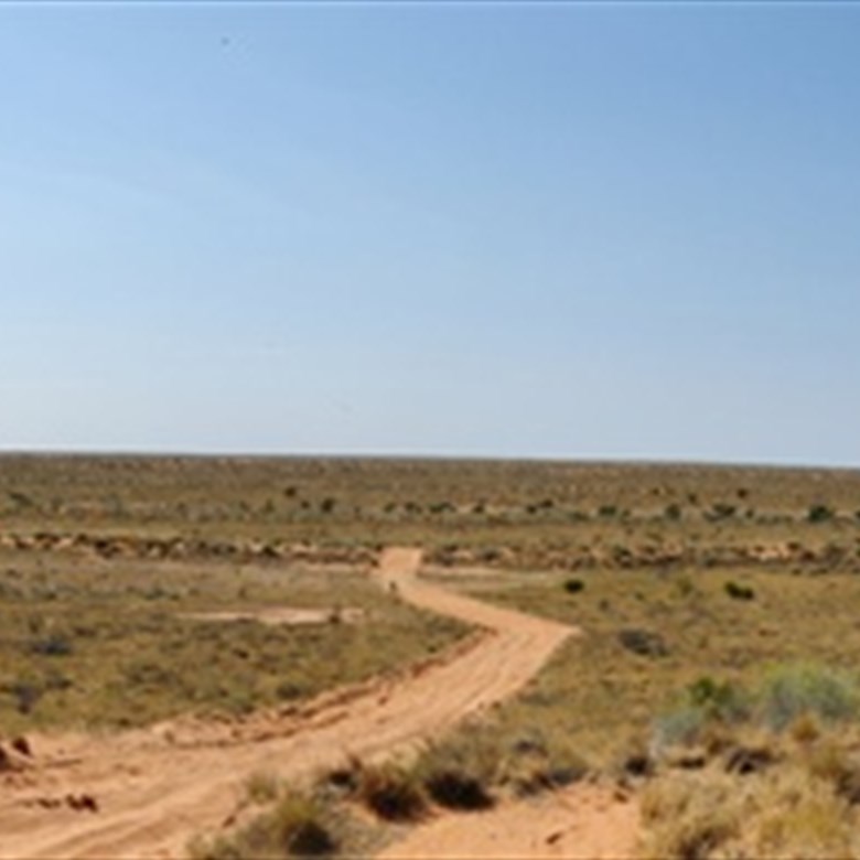 [07/Aug/2011] Sand dune west of Birdsville, where I met Stephan (6310x640 pixels, 900KB))