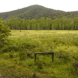 Joey's Flat - old grazing grounds