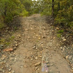 The track was in good condition