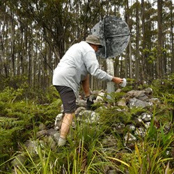 Adding yet another stone to the Trig Point