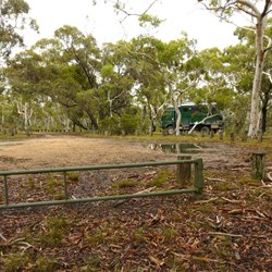 Morton National Park - Wog Wog camp ground