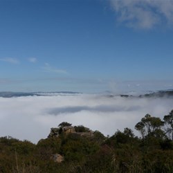 Early morning fog fills the valley