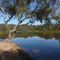 The tranquill waters of Dunn's Swamp