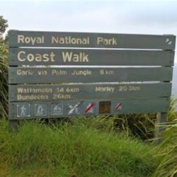 Start of Royal NP Coast Track at Otford