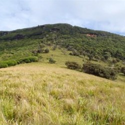View from track to escarpment