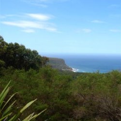 Above the escarpment