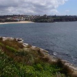 To Coogee