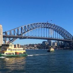 The Iconic Coat Hanger