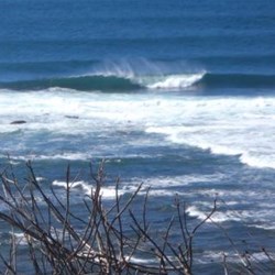 Long Reef Aquatic Reserve