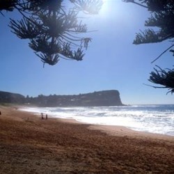 Avalon Beach