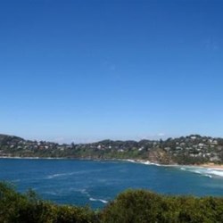 View back to Whale Beach