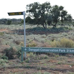 Time to head north to Danggali Conservation Park