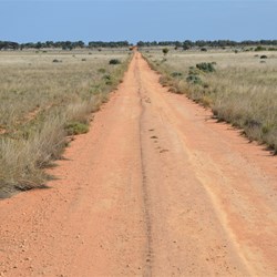 Now into Native Grass covered Plains