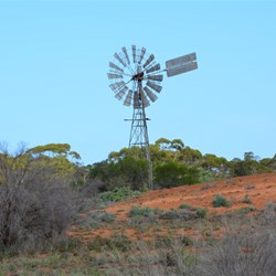 Disused Windmill at Canopus Homestead
