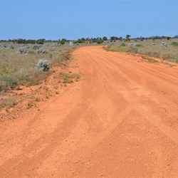 Back into Bluebush country