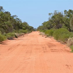 Back into dense roadside vegetation