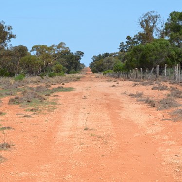 Looking South down the Border track