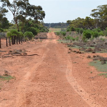 Looking North up the Border track