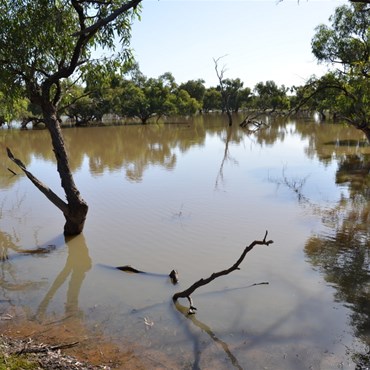 Another unexpected large body of water in Outback New South Wales