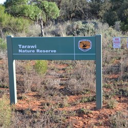 Entering Tarawi Nature Reserve